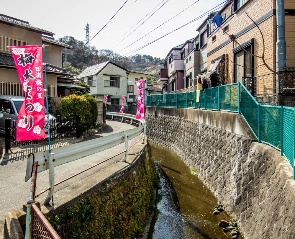 This year`s plum festival lasted from the 4th of February to the 17th March, during which time the narrow streets and rivers leading up to this park are covered with many pink banners