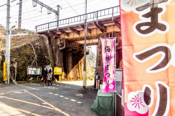 <p>Although there are several entrances to the park it can easily be accessed from either Keikyu Taura Station, (on the Keikyu Line) or Taura Station (on the JR Yokosuka Line), where it is possible to pick up a map from either station</p>