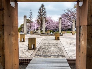 A doorway to more cherry blossoms