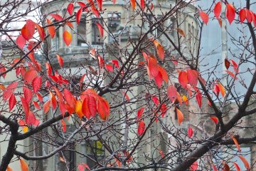 <p>These photos were taken at the end of November:&nbsp;Hiroshima&#39;s Atomic Bomb Dome</p>