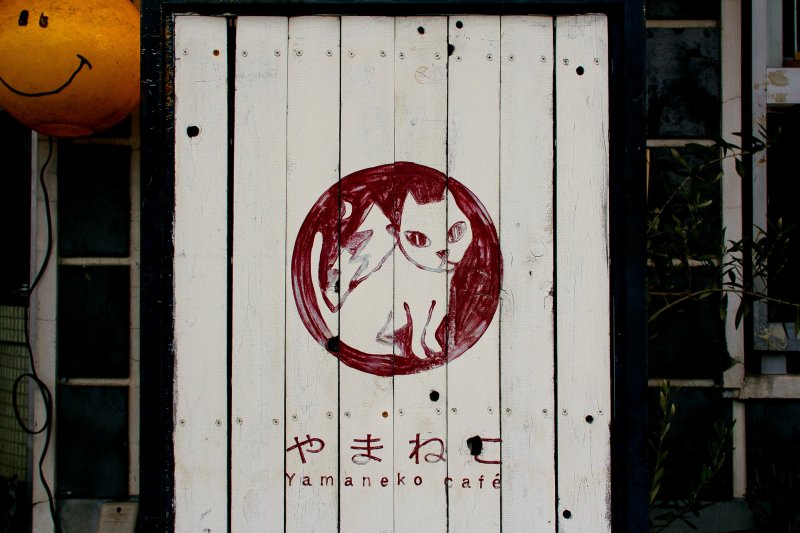 <p>Yamaneko Mountain Cat caf&eacute;.</p>