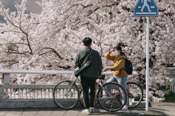 Kyoto Bicycle-Friendly City by 2020