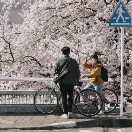 Des mesures pour les vélos à Kyoto