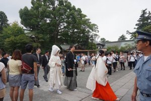 츠루가오카 하치만구 신사에서 열린 전통결혼식입니다.&nbsp;
