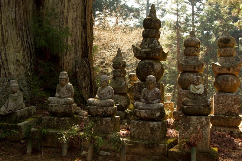 <p>There are thousands of statues, nestled between huge cedar trees, and they are all pretty unique.</p>