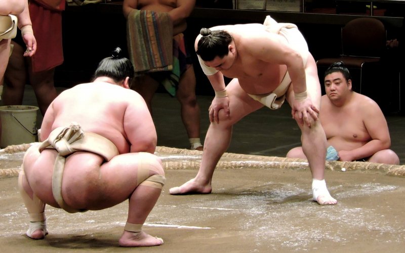 <p>You can see the salt thrown on the sand in the sumo ring</p>