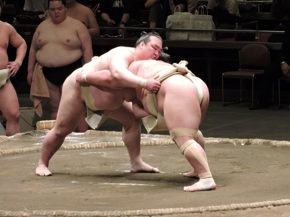 The loincloths of sumo wrestlers can be used as 'handles' .