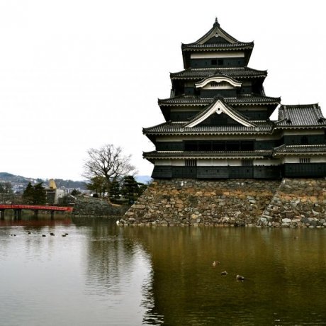 A National Treasure: Matsumoto Castle