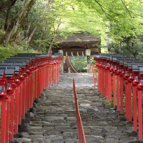 Kyoto's Historic Kifune Jinja