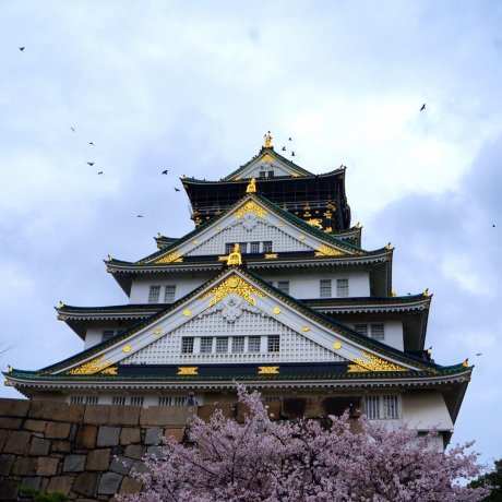 오사카 성(城)
