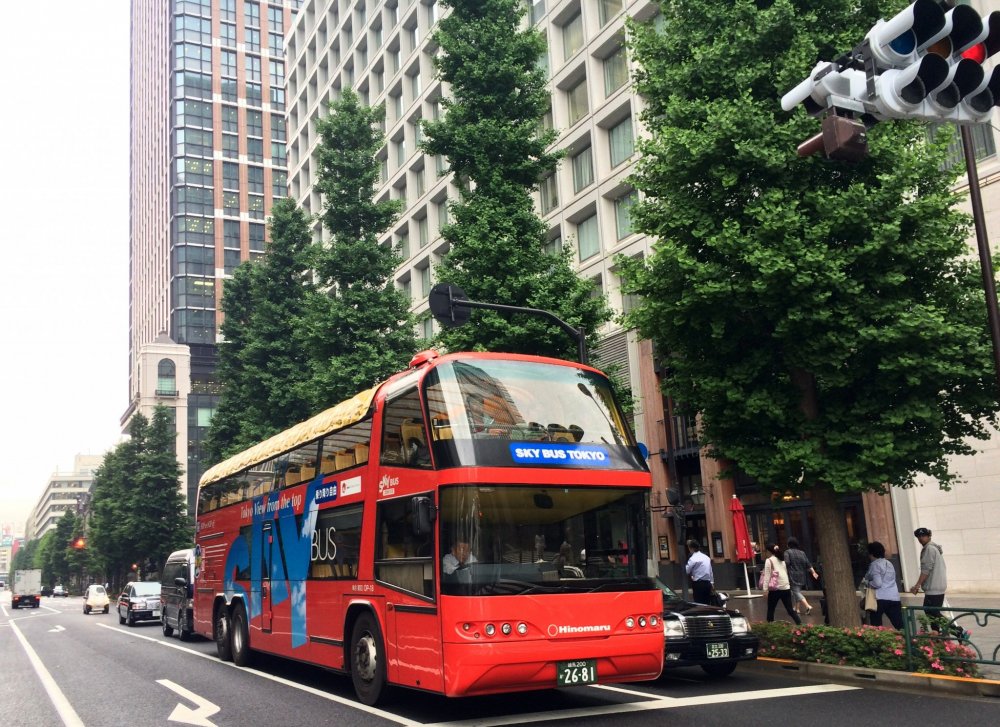 The Sky Hop Bus has 2 stories and customers can sit on the top floor and feel the breeze.