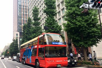 <p>The Sky Hop Bus has 2 stories and customers can sit on the top floor and feel the breeze.</p>