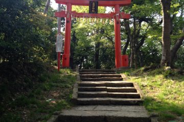Another torii gate on the hike up the mountain