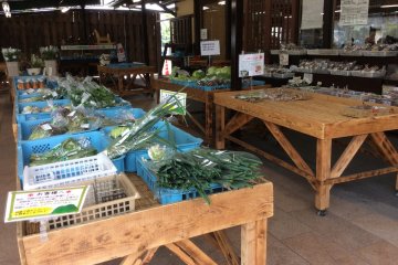 <p>A line up of locally produced vegetables. Clean, fresh and inexpensive.</p>