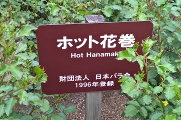 Hanamaki&#39;s own rose