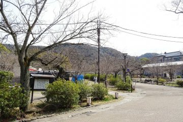 <p>สวนมะรุยะมะ (Maruyama) ในเดือนมีนาคม ดูเหงาหงอย</p>