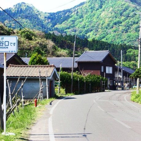 Couchsurfing di Jepang