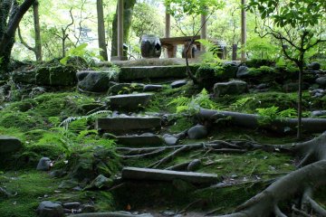 <p>The atmospheric path leading up to the garden&#39;s high point</p>