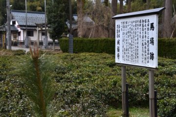 <p>Site of Jofukuji Temple&#39;s horse-riding grounds. Horses were tied up here when the lords of Fukui Matsudaira Clan visited the temple. It has been turned into a tea plantation now.</p>
