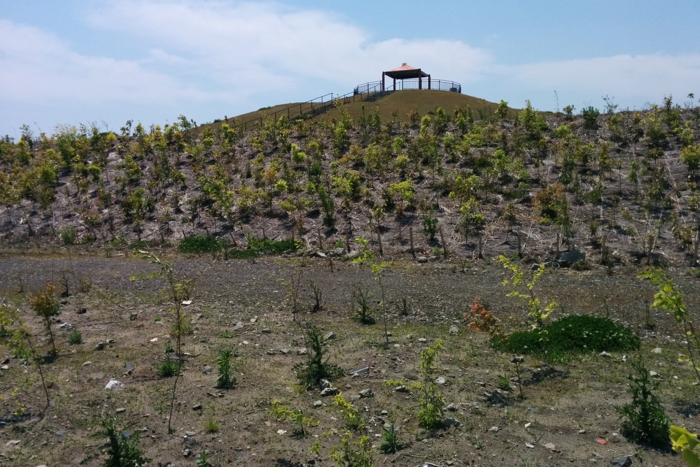 One of the manmade hills of the park used to break up the energy of a tsunami and as an evacuation point