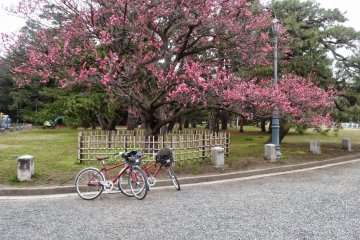 <p>ถ้าคุณชอบปั่นจักรยาน ก็จะเป็นวิธีที่ดีในการเที่ยวชมสวนซึ่งมีพื้นที่กว้างใหญ่ และสถานที่โดยรอบ</p>
