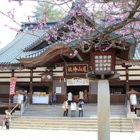 金沢「尾山神社」春詣で～２