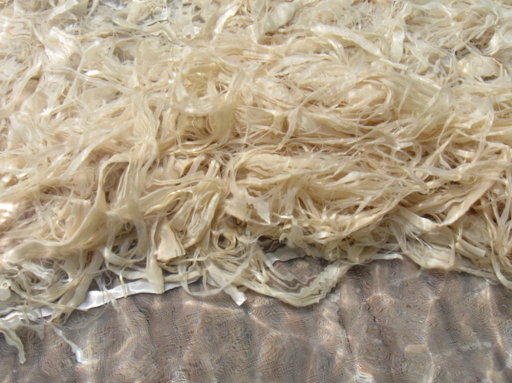 Japanese paper, known as washi, can be made from a range of plant fibers, including those of the Paper Mulberry tree. Here some processed strips are bleaching in the sun. No chemicals are used.