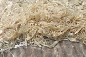 Japanese paper, known as washi, can be made from a range of plant fibers, including those of the Paper Mulberry tree. Here some processed strips are bleaching in the sun. No chemicals are used.