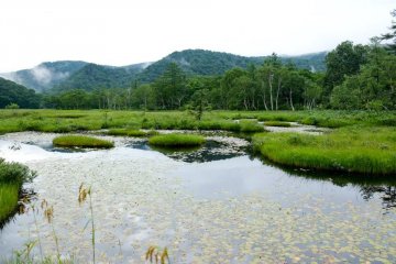 <p>Small ponds alongside the trekking track</p>