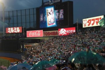 Tokyo Yakult Swallows fans celebrating a run with their famous &quot;umbrella dance.&quot;