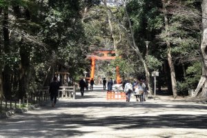 จากทางเข้าสู่ศาลเจ้าชิโมะกะโมะทางใต้ คุณจะเดินอยู่ในป่าทะดะสุ โนะ โมะริ (Tadasu no Mori)