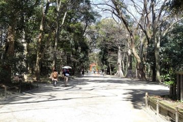 <p>จากทางเข้าสู่ศาลเจ้าชิโมะกะโมะทางใต้ คุณจะเดินอยู่ในป่าทะดะสุ โนะ โมะริ (Tadasu no Mori)</p>