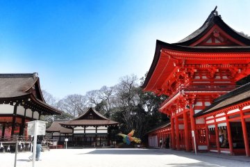 <p>อาคารไมโดะโนะของศาลเจ้าชิโมะกะโมะ เป็นอาคารที่ทาสีดำทั้งหลัง ตัดกับประตูโระมอนสีแดงส้มที่อยู่ใกล้กันอย่างน่าดู</p>
