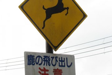 <p>Sign in Nara, the city ruled by deer.</p>
