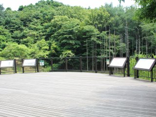 The observation deck of the pond, which has notice boards to show you all of the wildlife living there