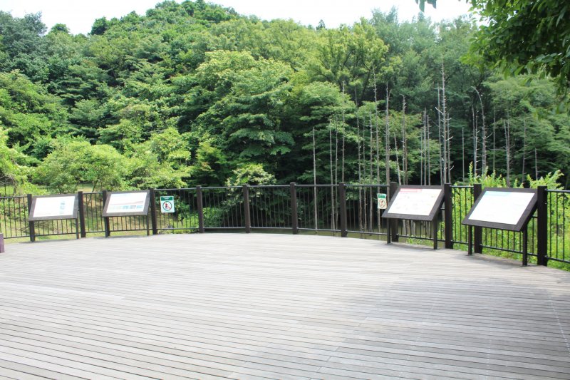 <p>The observation deck of the pond, which has notice boards to show you all of the wildlife living there</p>