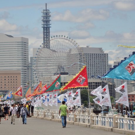 Đua thuyền rồng ở Yokohama