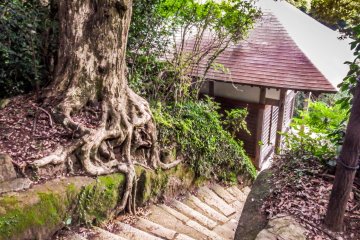 <p>Entering from the back! For anyone doing the hike from Mount Ohirayama this descending staircase will be your first view of Hanzobo Shrine</p>
