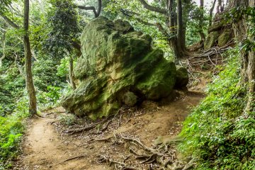 <p>Just one of many large boulders that I saw throughout this hike</p>