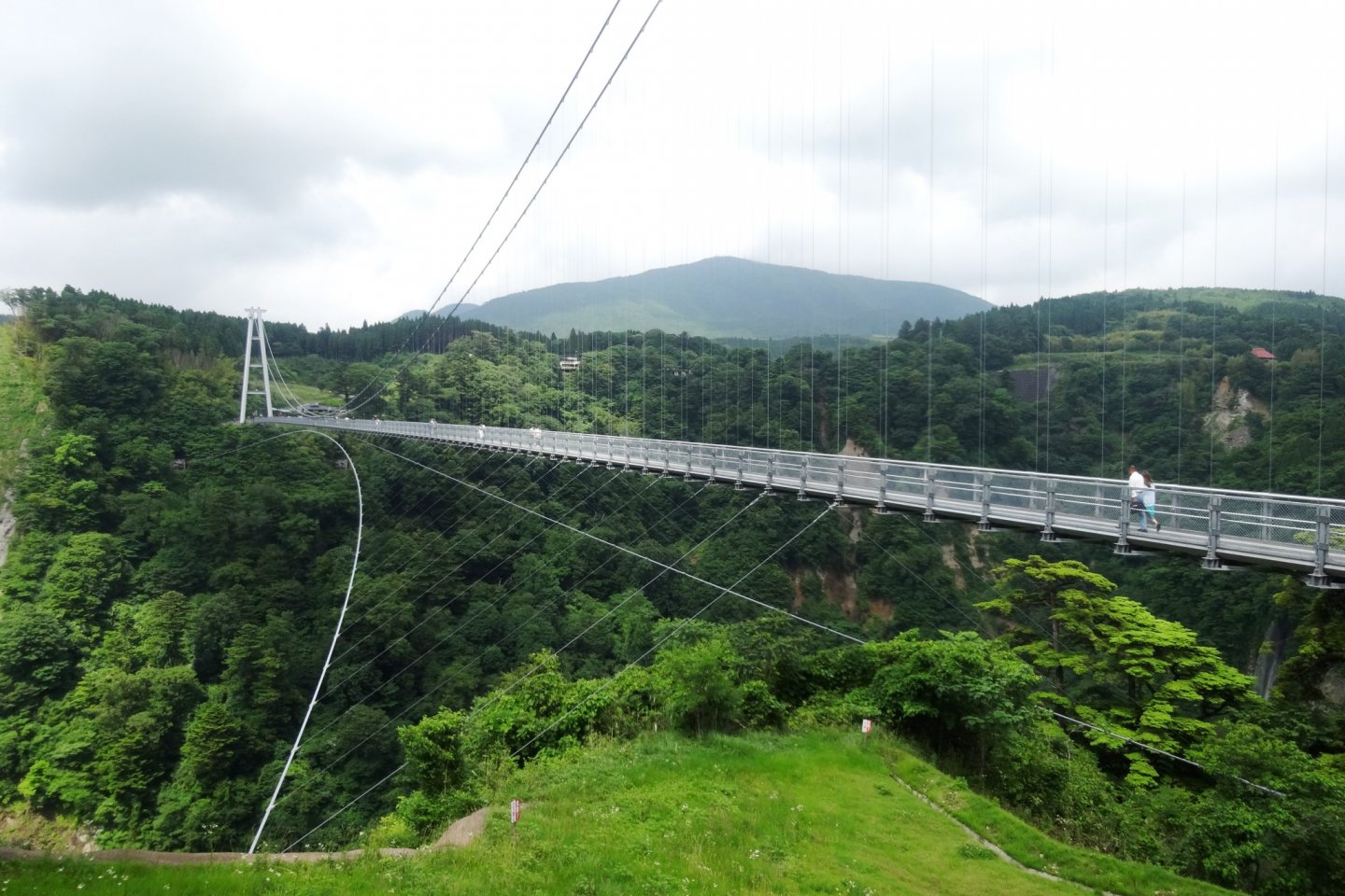 The Kokonoe Yume Suspension Bridge