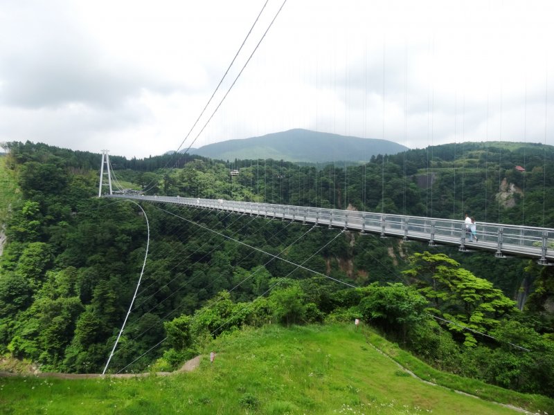 <p>The Kokonoe Yume Suspension Bridge</p>
