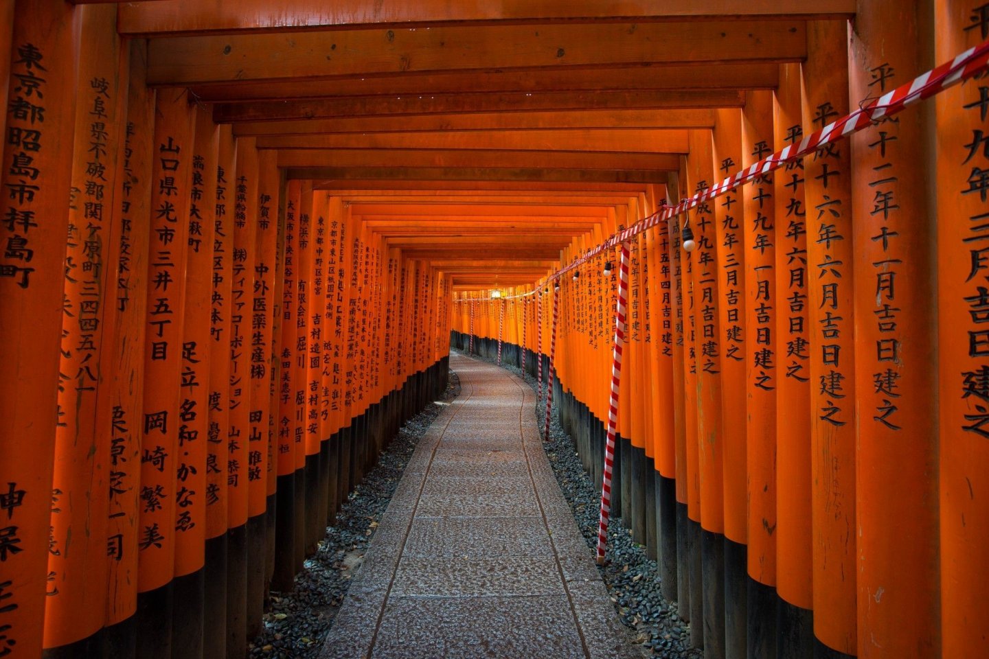 Đền Fushimi Inari vào buổi tối