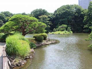 The Japanese-style garden has many beautiful trees and ponds