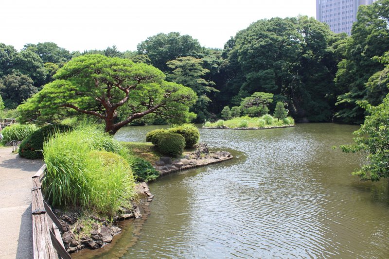 <p>The Japanese-style garden has many beautiful trees and ponds</p>