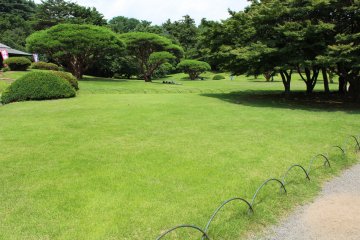 <p>The grass is unbelievable green and is so inviting&nbsp;</p>