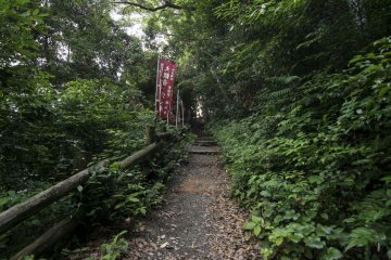 <p>The lush greenery along the way to the statue of Kannon and the Ana-Daishi will have you wondering if you are still on temple grounds.</p>