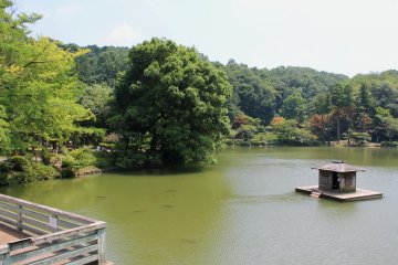 <p>The pond has lots of koi fish and turtles, highly entertaining for both children and adults!</p>