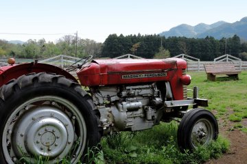 <p>A red tractor in the field</p>