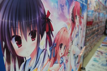 <p>The heart of anime culture in Tokyo</p>