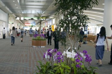 Naha Airport- First Impression